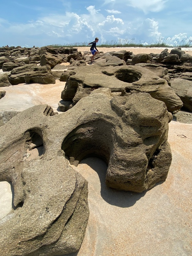 Rocks on Washington Oaks Gardens State Park Beach FL