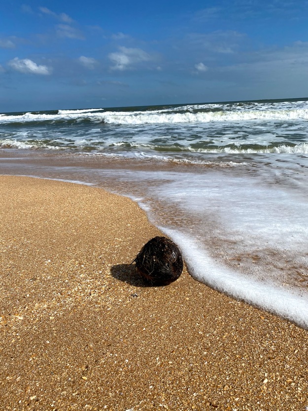 Washington Oaks Gardens State Park Beach Florida