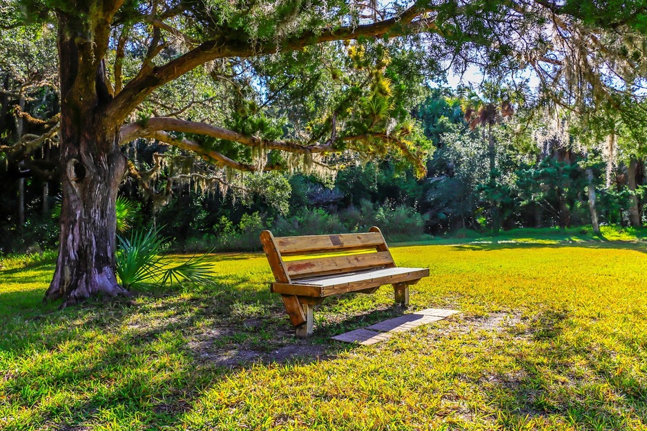 Washington Oaks Gardens State Park FL