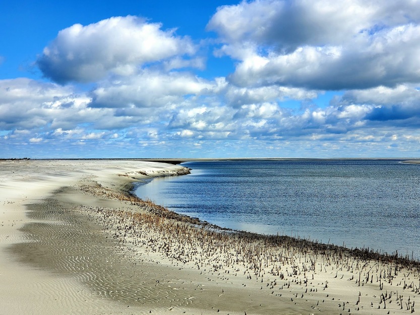 Harbor Island Beach