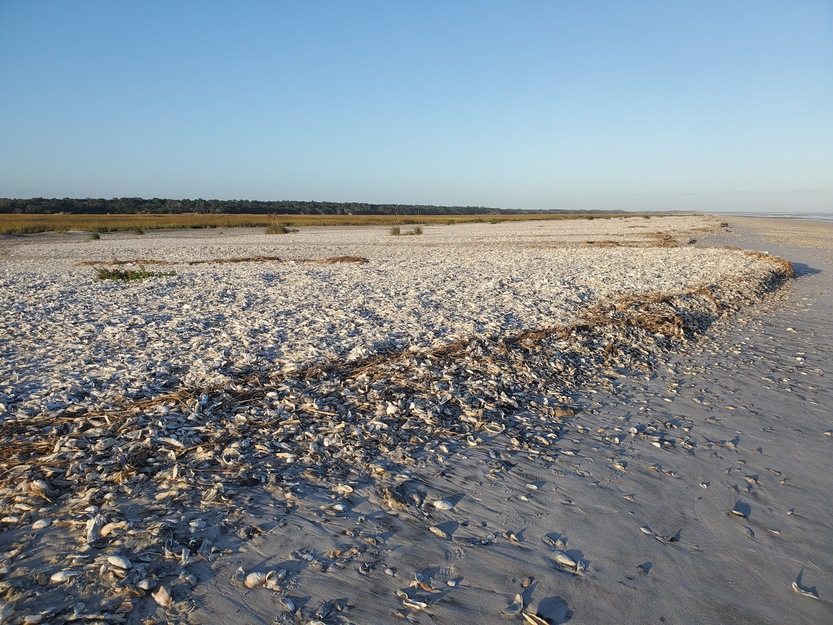 Edingsville Beach SC