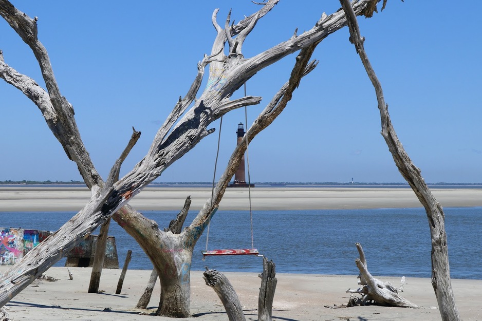 Driftwood and lighthouse on Morris Island Beach SC