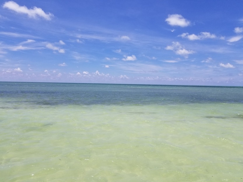 Sea