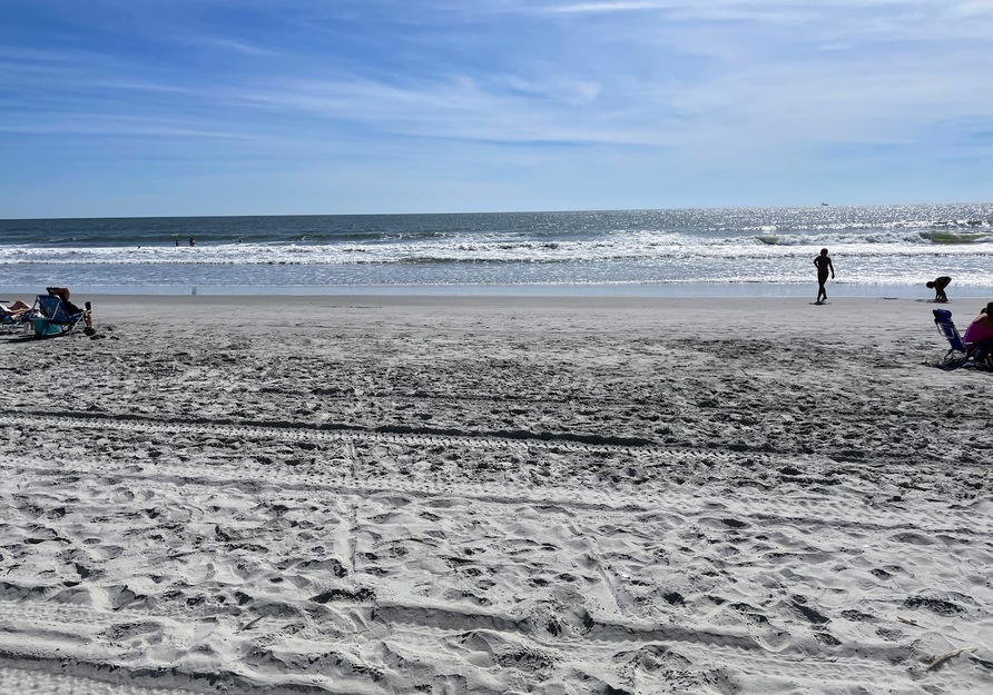 Futch Beach SC