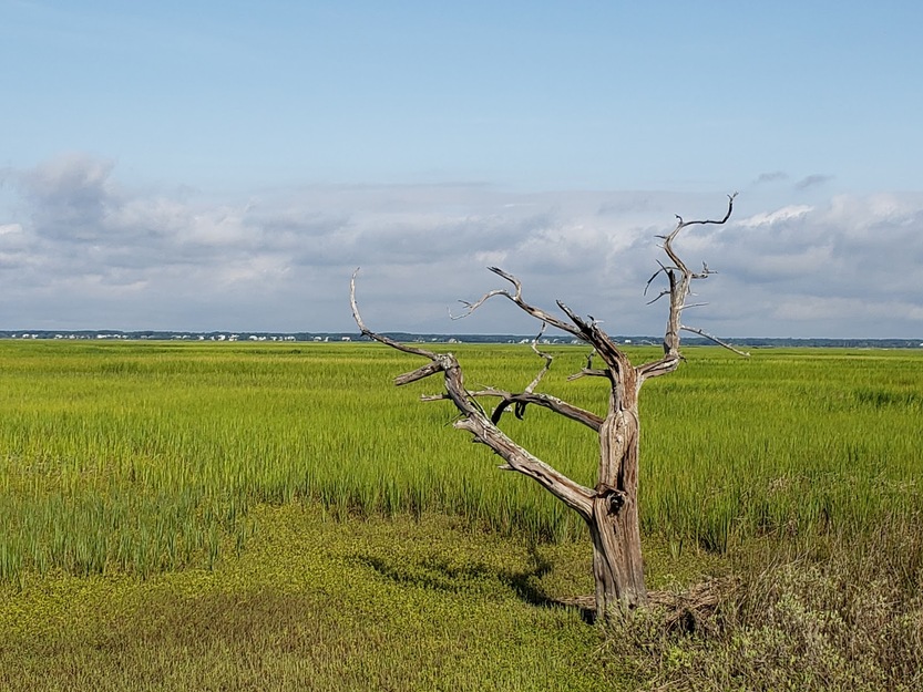 Dewees Island SC