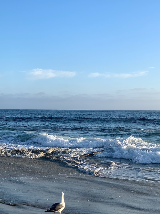 Laguna Beach CA