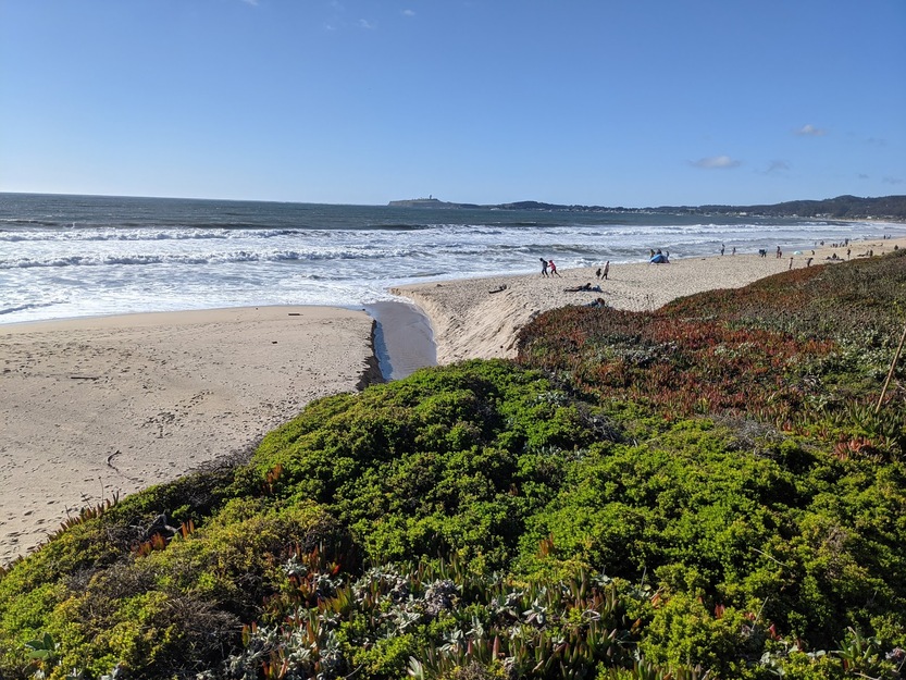 Venice Beach Half Moon Bay