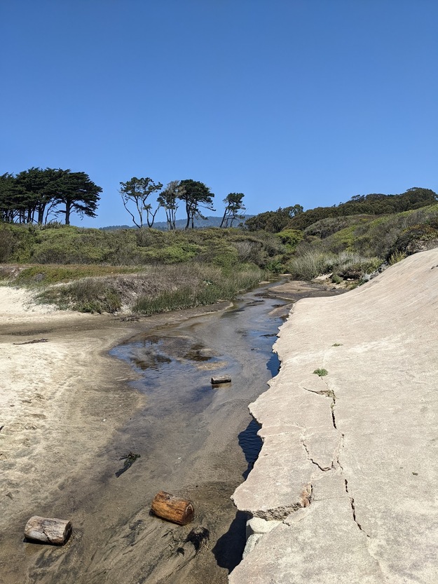 Creek on Venice Beach in Half Moon Bay