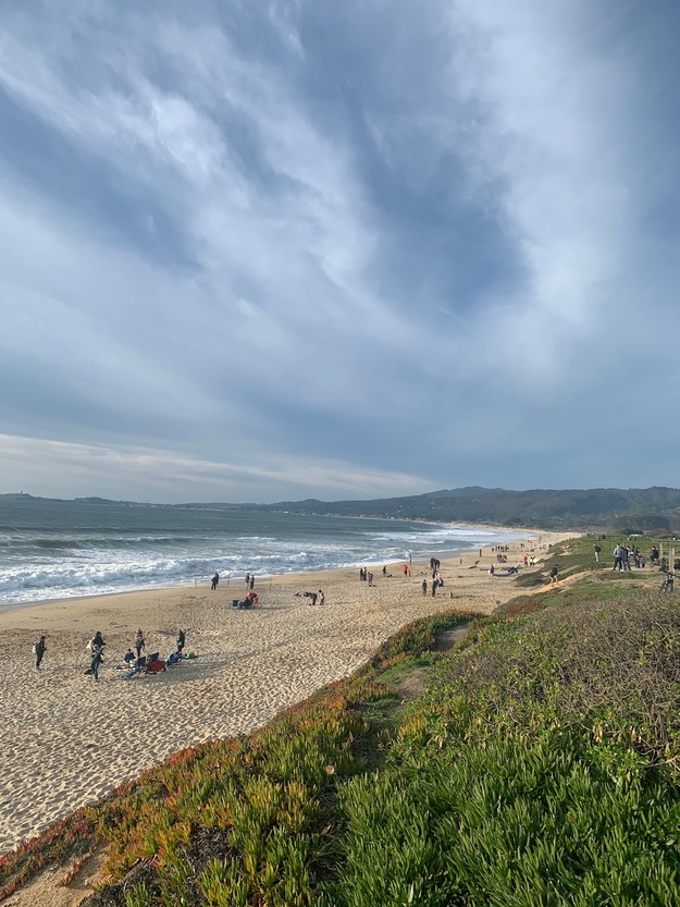 People sunbathing on Venice Beach in Half Moon Bay