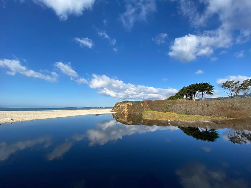 Venice Beach Half Moon Bay California