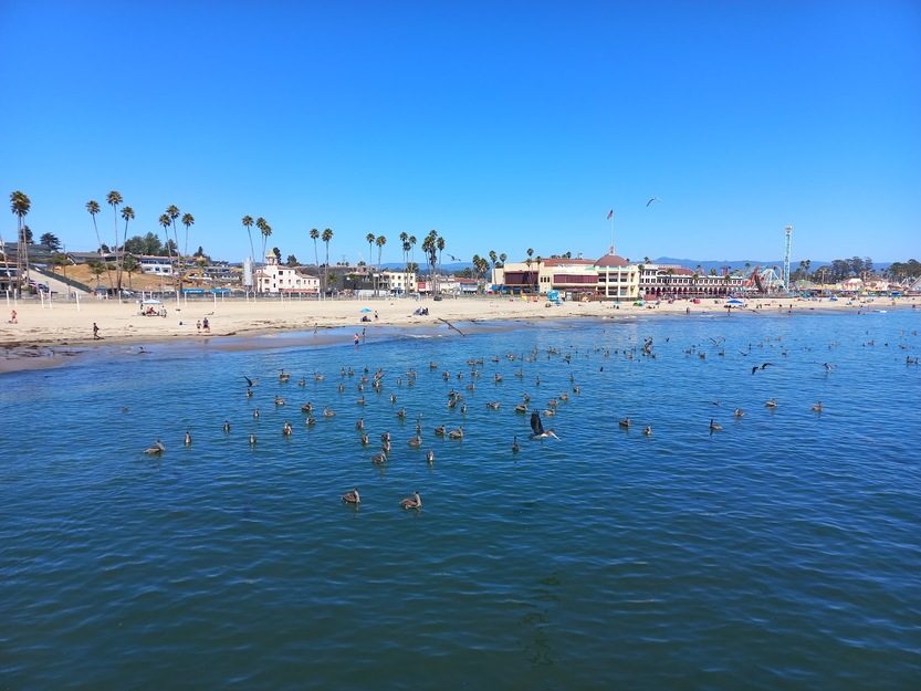 Santa Cruz Beach