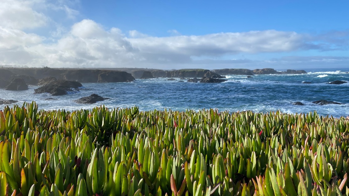 Glass Beach CA
