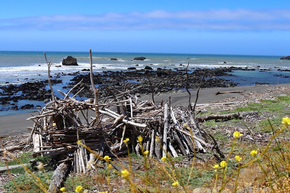Driftwood on Black Sand Beach California