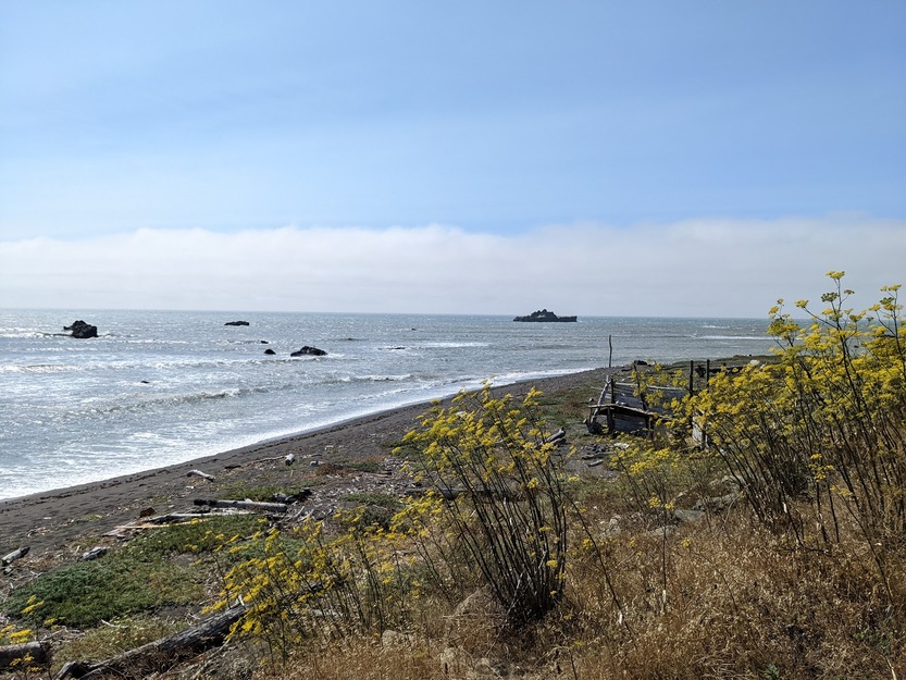 Black Sand Beach CA