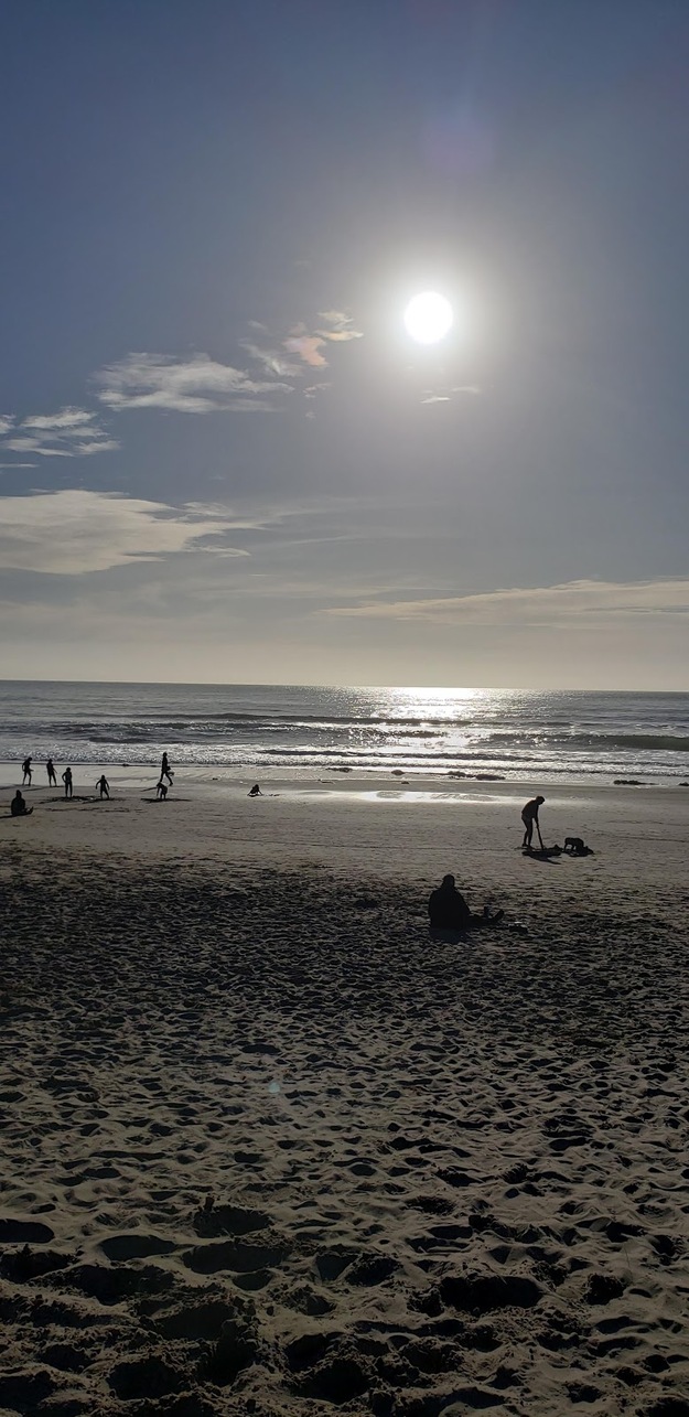 Stinson Beach CA