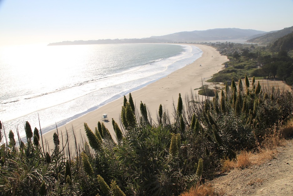 Stinson Beach California