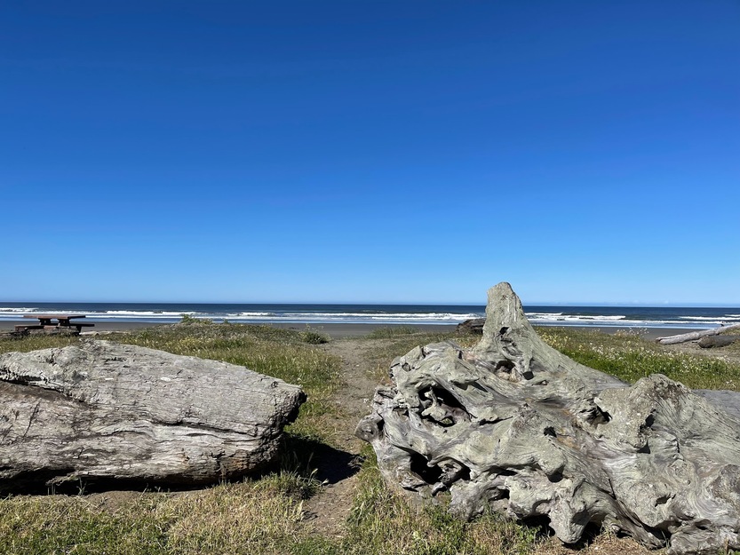 Driftwood on Crescent Beach CA