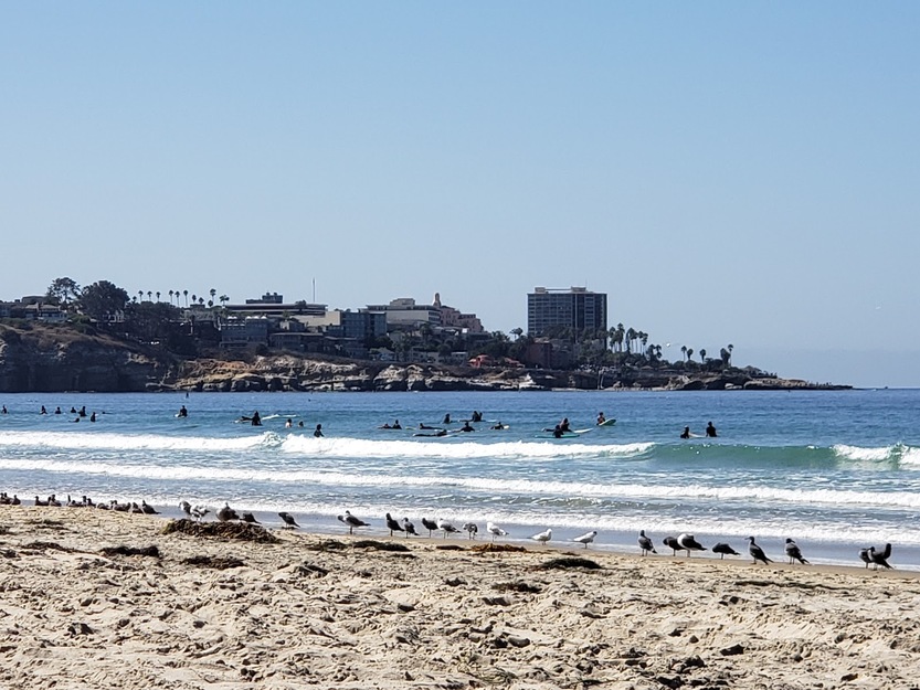 La Jolla Shores Beach California