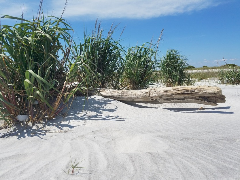 Ship Island Beach