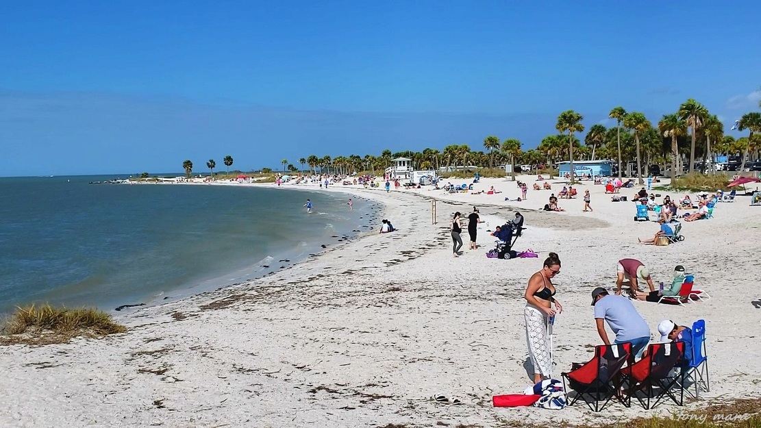 Fred Howard Park Beach