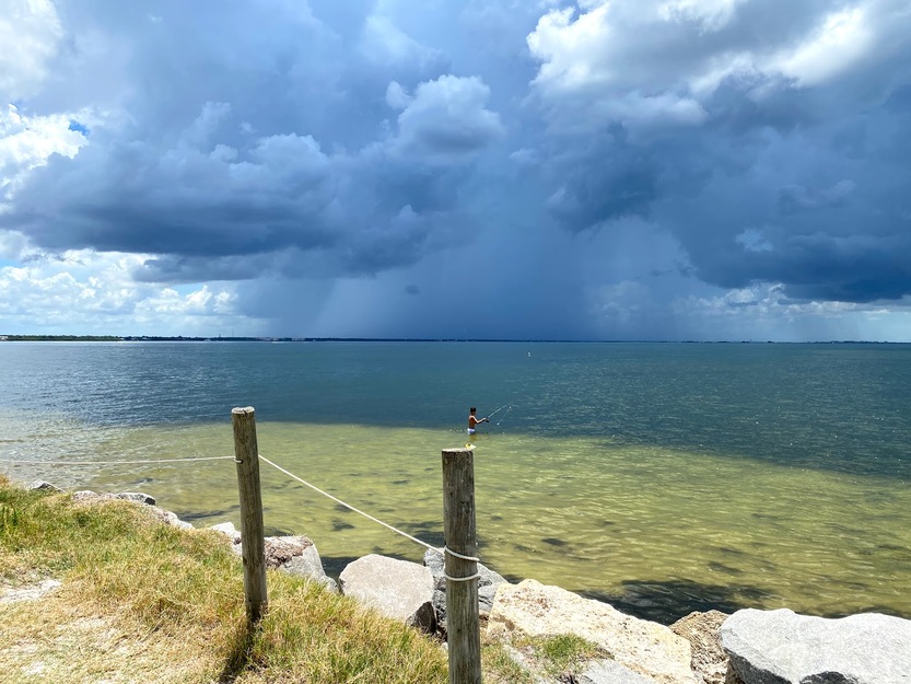 Fred Howard Park Beach