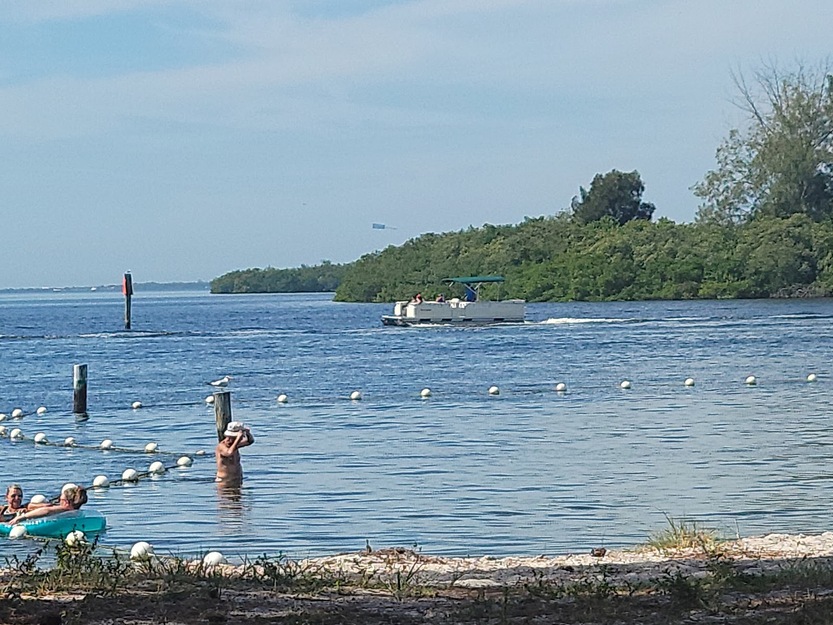 Swimming area on Anclote River Park Beach