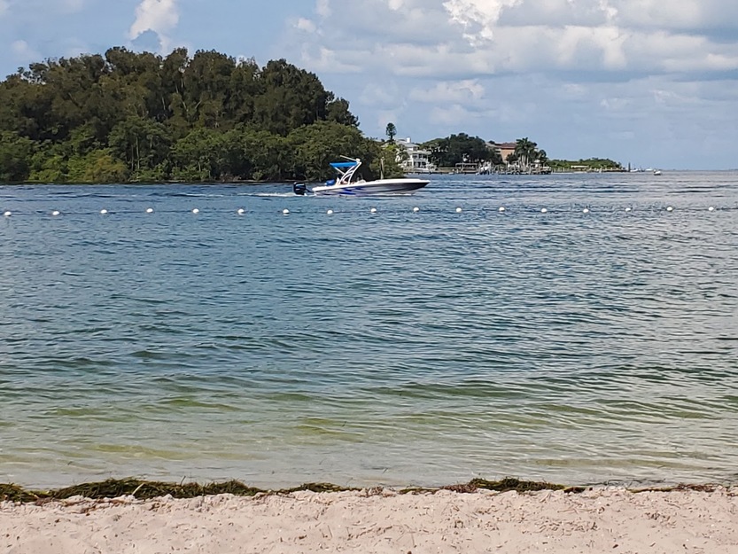Swimming area on Anclote River Park Beach, Florida