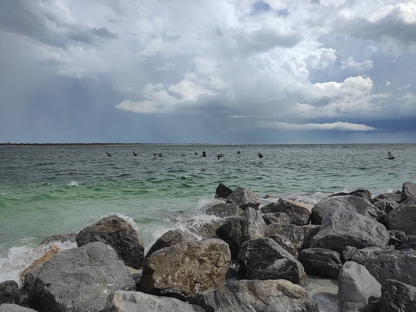 Rocks on Gasparilla Island State Park Beach