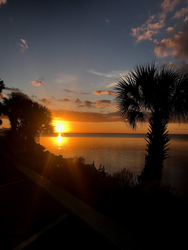 Palms on Titusville Beach