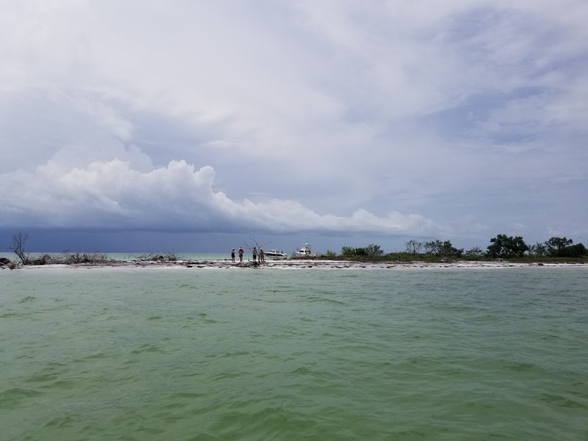 Anclote Key Preserve State Park Beach