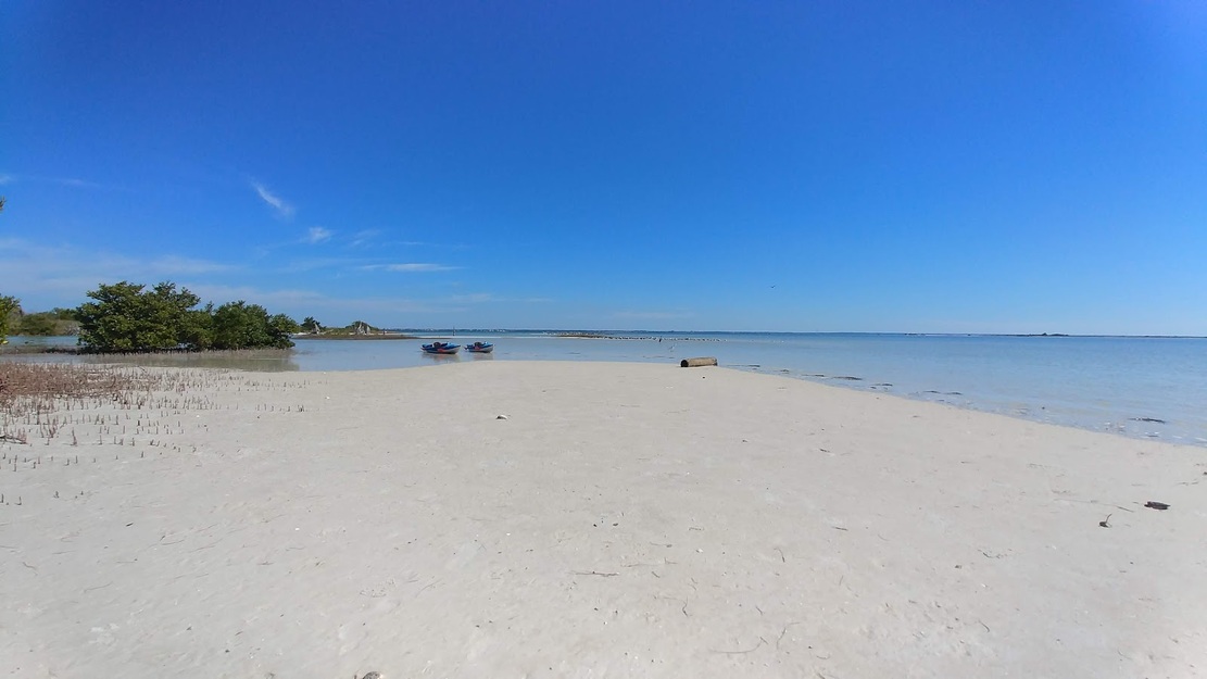 Anclote Key Preserve State Park Beach