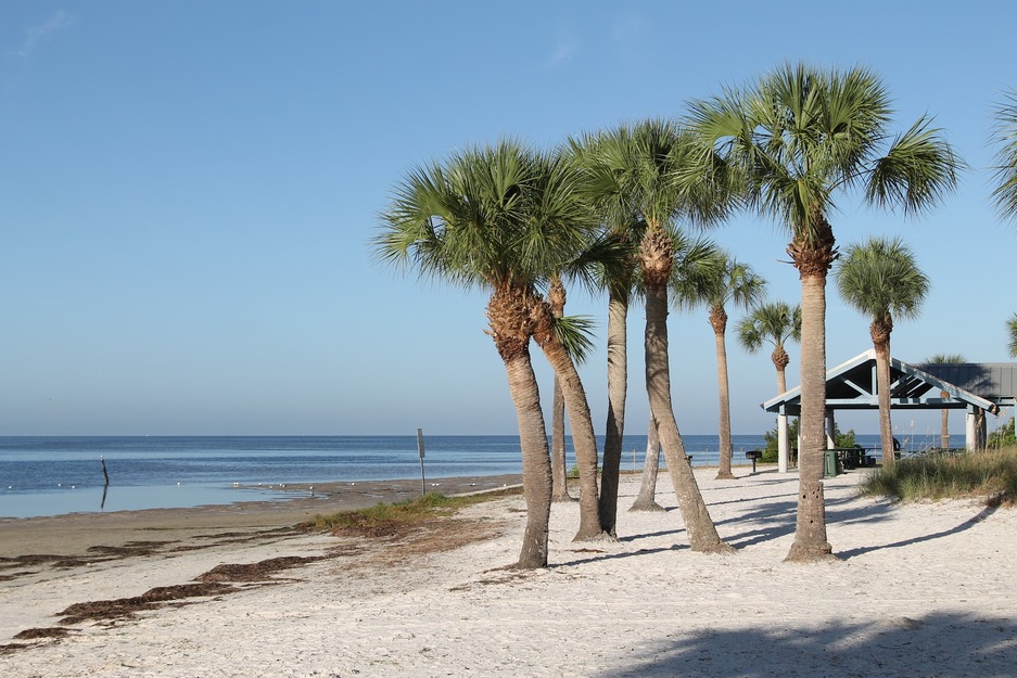 Robert K Rees Memorial Park Beach, Florida