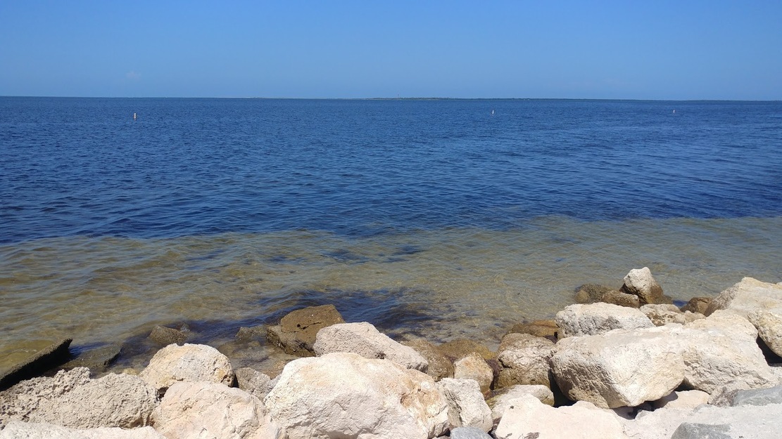 Rocks on Robert K Rees Memorial Park Beach
