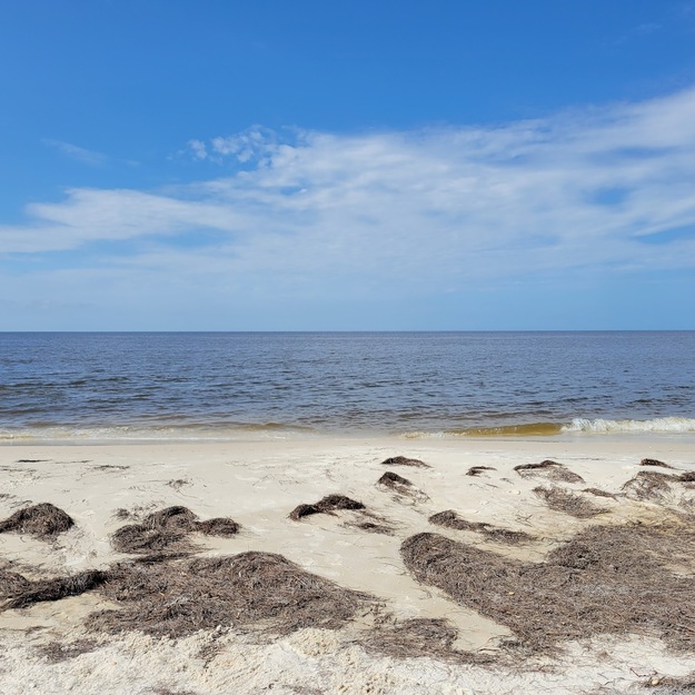 Alligator Point Beach