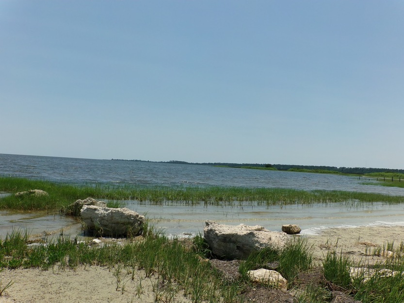 Rocks on Wakulla Beach, Florida