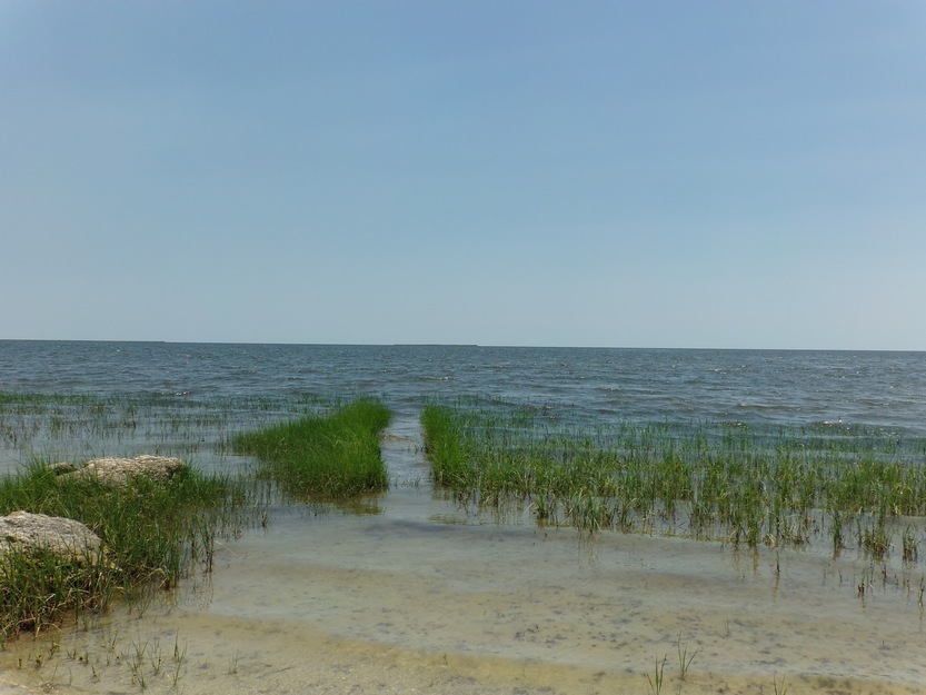 Wakulla Beach