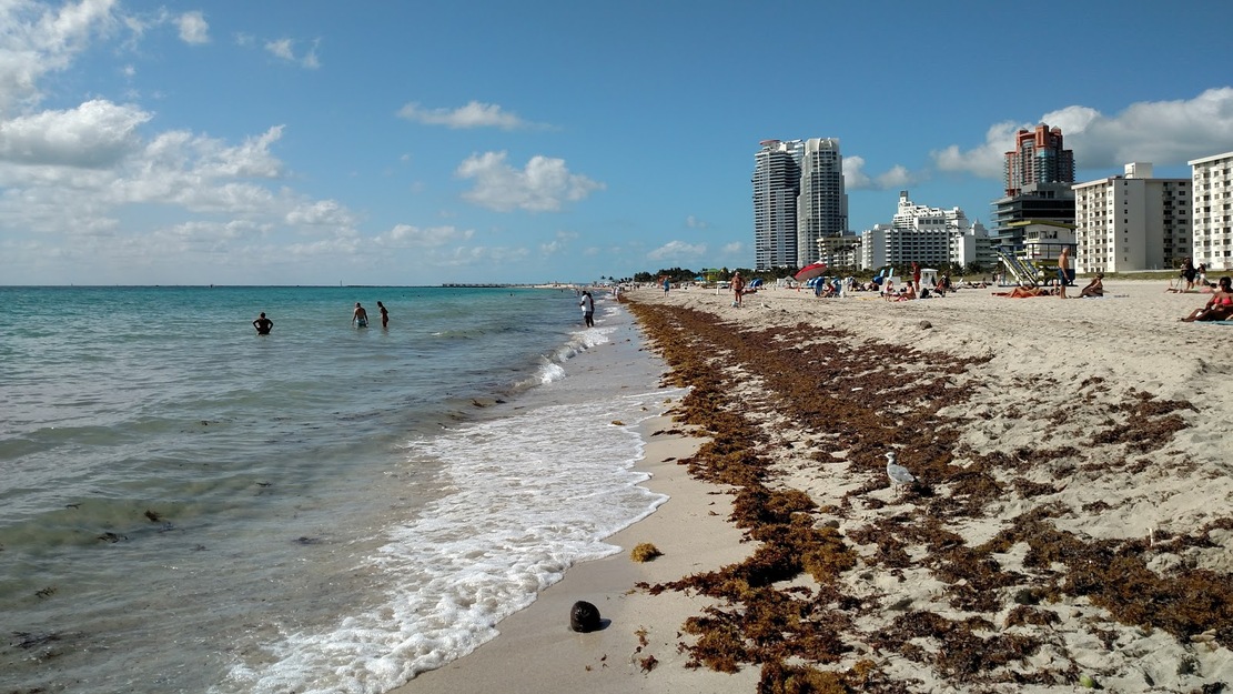 City beach