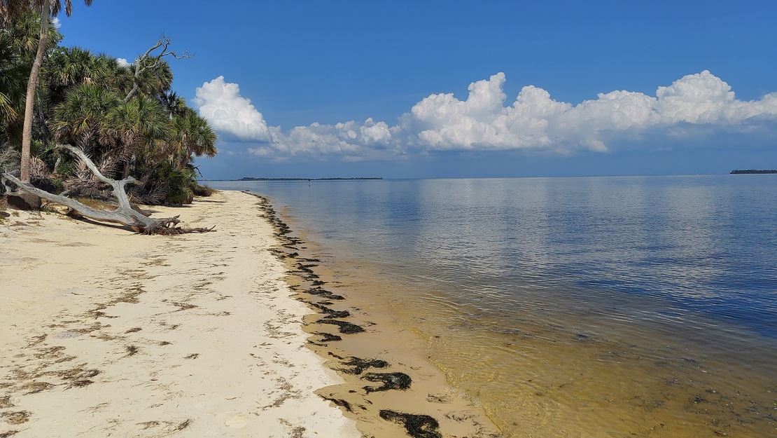 Cedar Keys National Wildlife Refuge Beach
