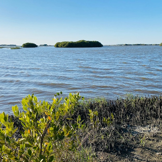 North Key Beach (Cedar Keys National Wildlife Refuge)