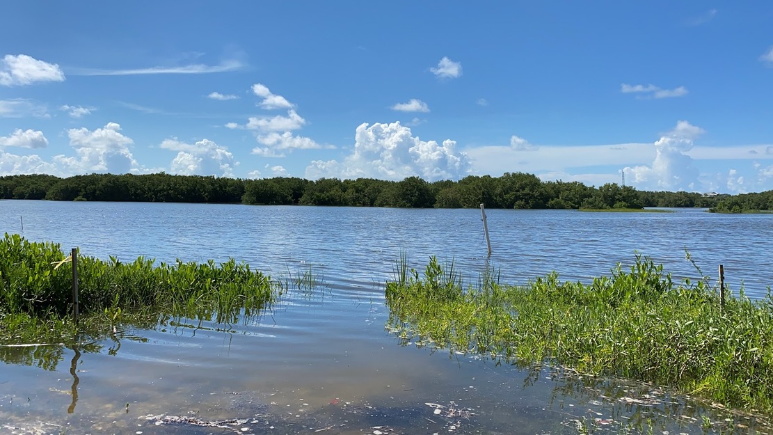 North Key Beach (Cedar Keys National Wildlife Refuge), Florida