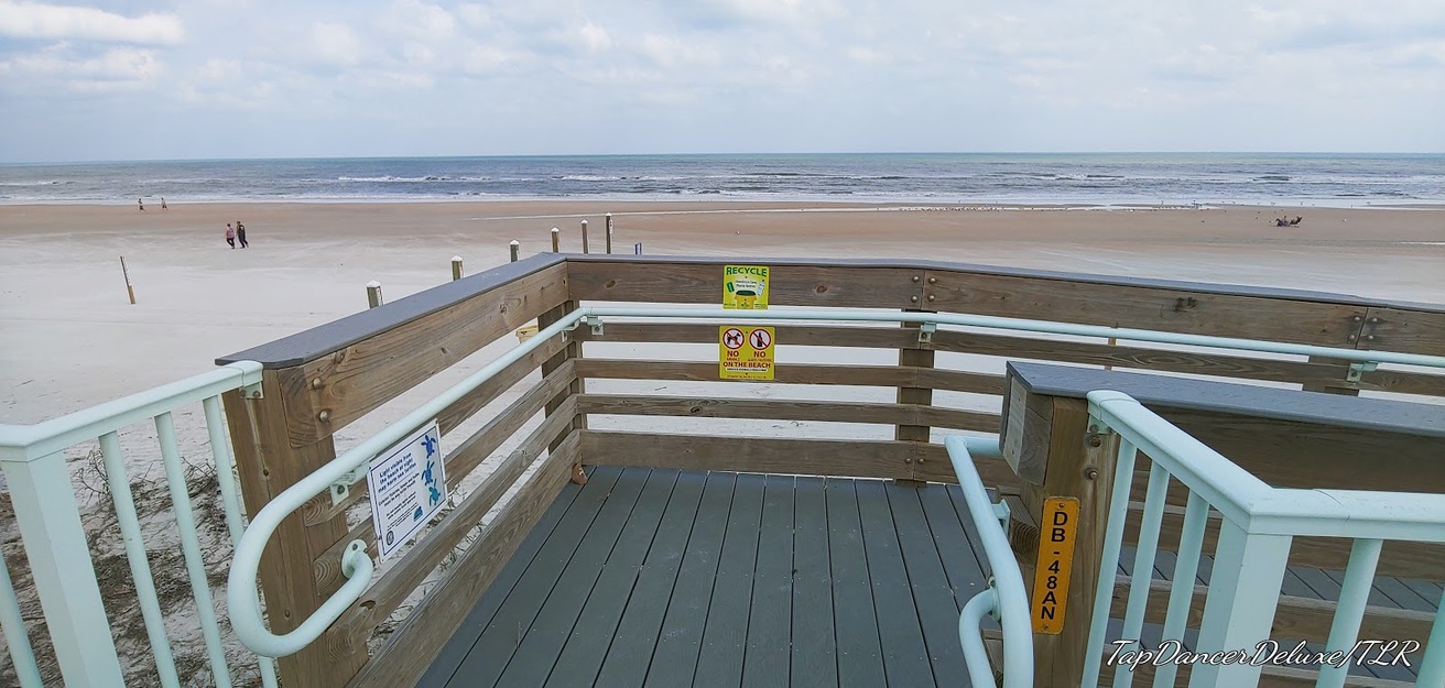 Wooden boardwalk in Varn Park