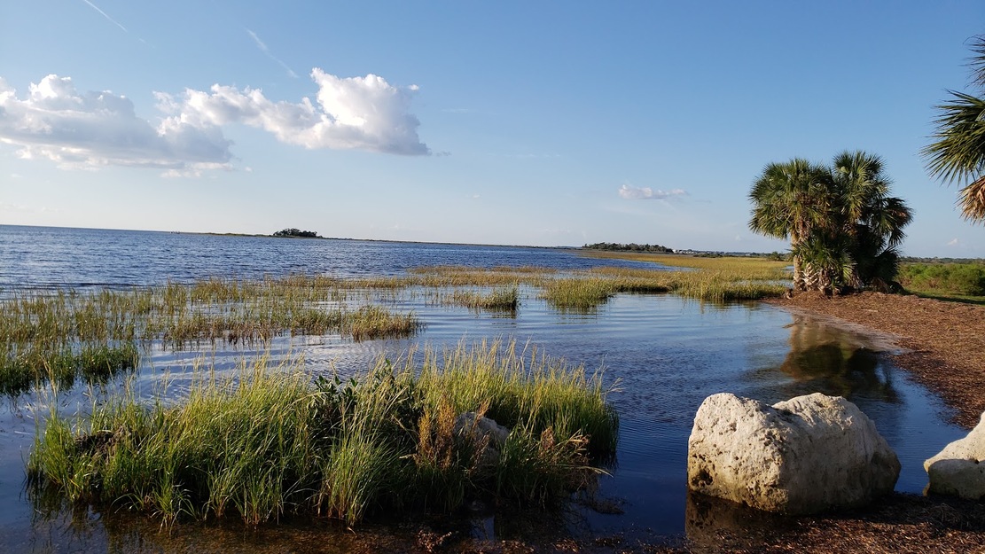 Marshy area at Hagens Cove Park