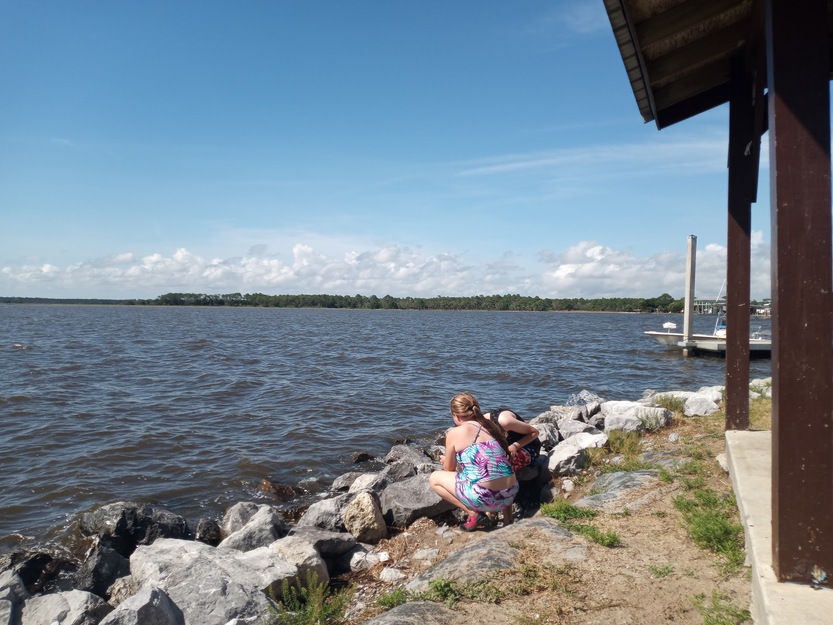 Horseshoe Beach Park Florida