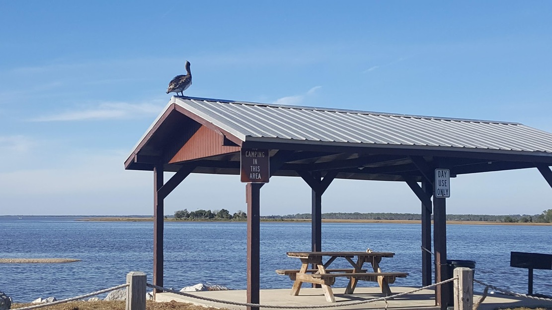 Picnic table in Horseshoe Beach Park