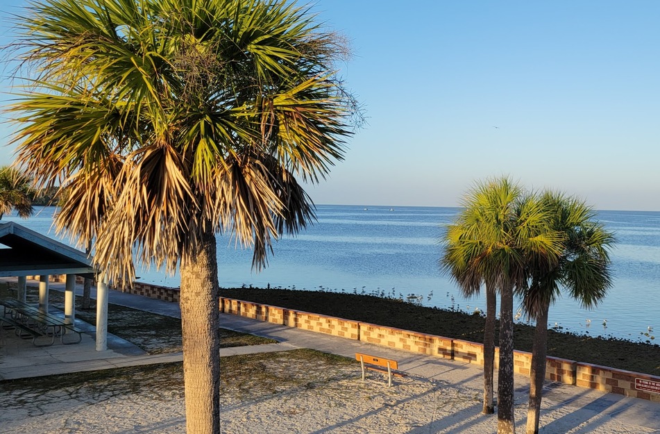 Palms on Robert J Strickland Memorial Park Beach FL