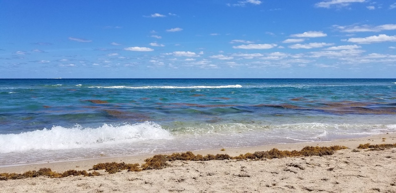 Sea