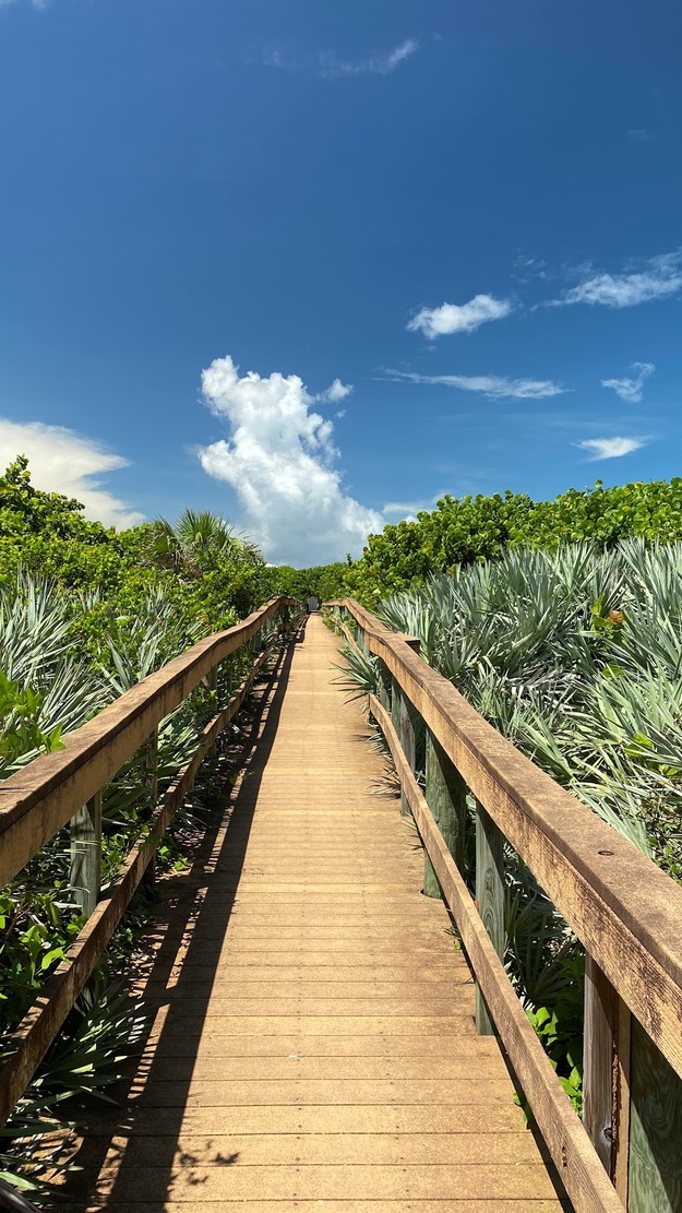 Bonsteel Park Florida