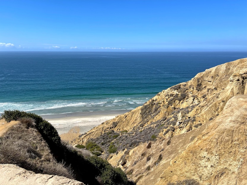 Black's Beach California