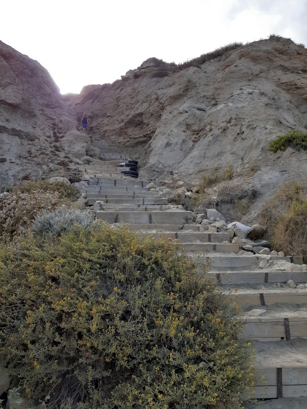 Steps leading to Black's Beach California
