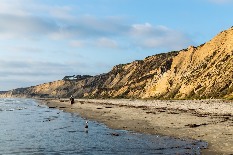 Black's Beach CA